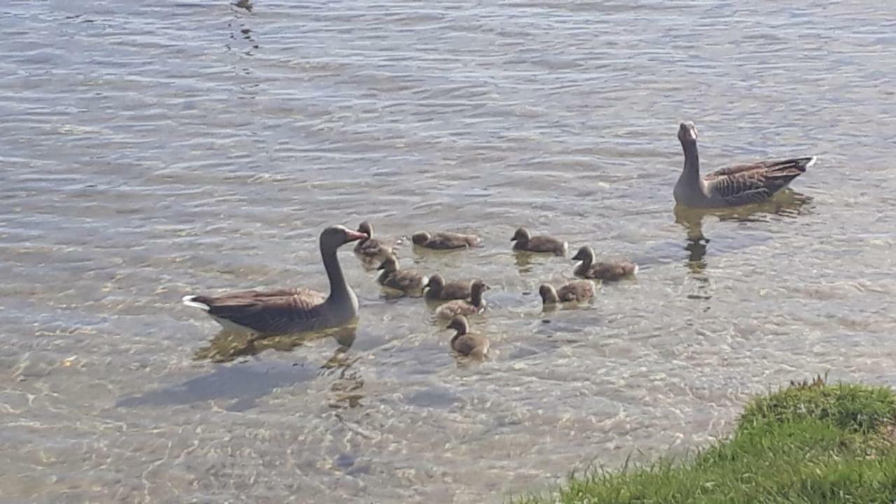 Ferienhaus Am Schaalsee Zarrentin am Schaalsee Zewnętrze zdjęcie