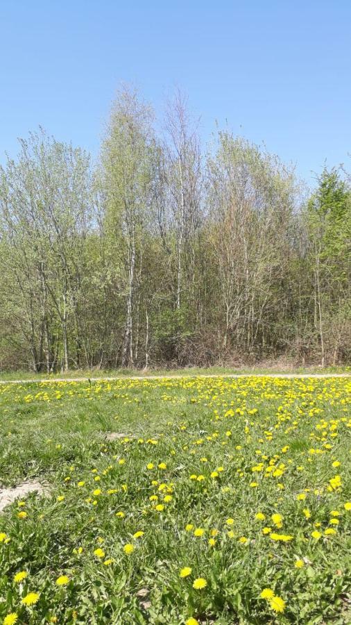Ferienhaus Am Schaalsee Zarrentin am Schaalsee Zewnętrze zdjęcie